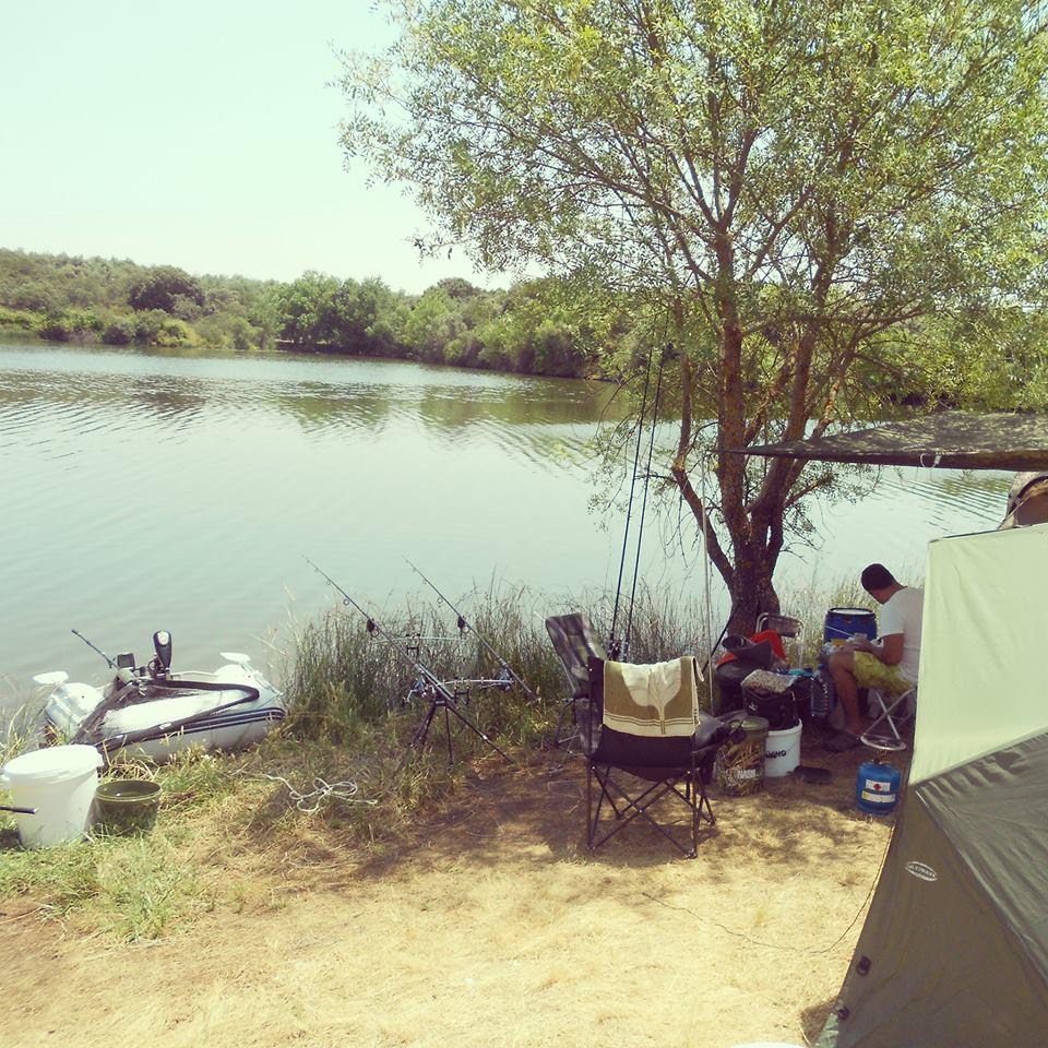 diverse - 1003955146975568825982595384455n.jpg